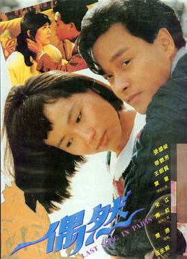 欧美成人看片 情迷海岸